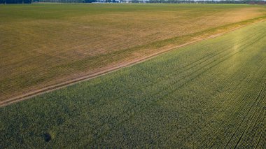 ekili mahsulünün havadan görünümü.