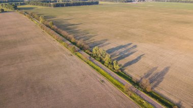 ekili mahsulünün havadan görünümü.