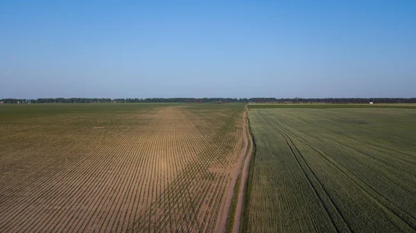 ekili mahsulünün havadan görünümü.