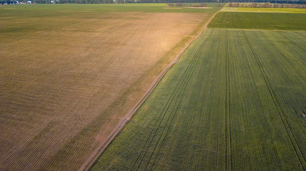 ekili mahsulünün havadan görünümü.