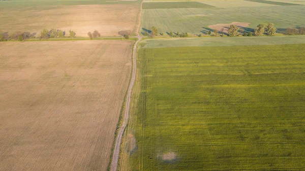 ekili mahsulünün havadan görünümü.