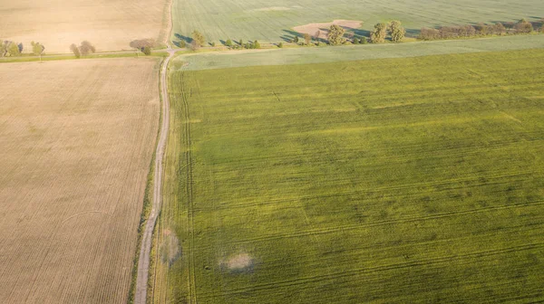 ekili mahsulünün havadan görünümü.