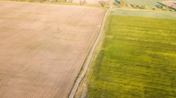 ekili mahsulünün havadan görünümü.