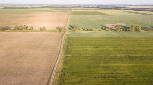 ekili mahsulünün havadan görünümü.