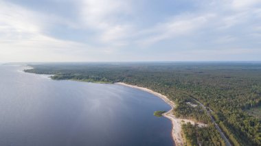 Gür yeşil orman yoluyla kıyı şeridi boyunca dolambaçlı yol havadan görünümü