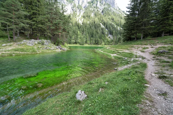 Vacker Sjö Som Heter Green Lake Österrike — Stockfoto