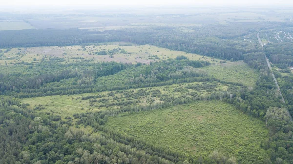 ormanlar arasındaki yol üzerinde havadan görünümü
