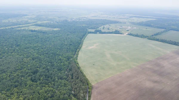 Vista Aérea Del Campo Verde Volando Sobre Campo Con Hierba — Foto de Stock