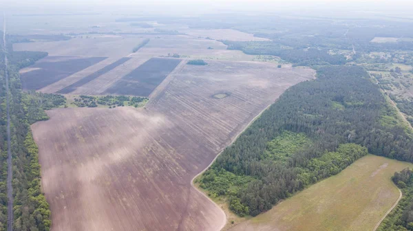 Vista Aérea Del Campo Verde Volando Sobre Campo Con Hierba — Foto de Stock