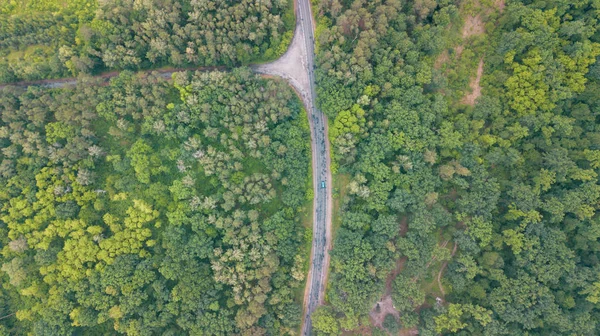 Aerial View Road Forests — Stock Photo, Image