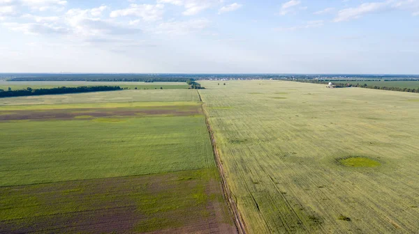 Tarım arazileri yukarıda - under yeşil yemyeşil bir hava resmi