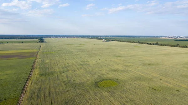 Tarım arazileri yukarıda - under yeşil yemyeşil bir hava resmi