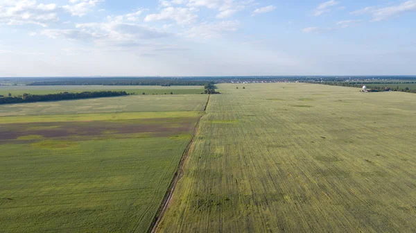 Tarım arazileri yukarıda - under yeşil yemyeşil bir hava resmi