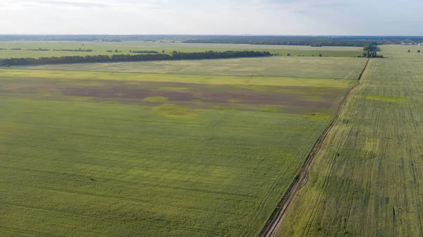 Las Tierras Cultivo Arriba Imagen Aérea Verde Exuberante Archivado — Foto de Stock