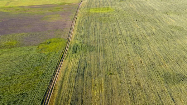 Tarım arazileri yukarıda - under yeşil yemyeşil bir hava resmi