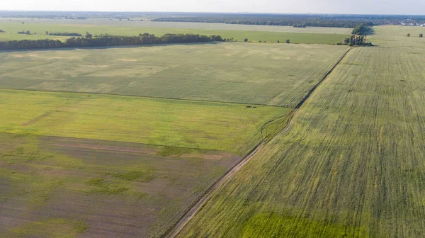 Tarım arazileri yukarıda - under yeşil yemyeşil bir hava resmi