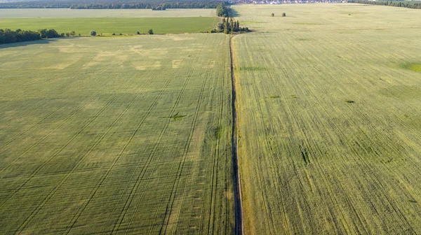 Tarım arazileri yukarıda - under yeşil yemyeşil bir hava resmi