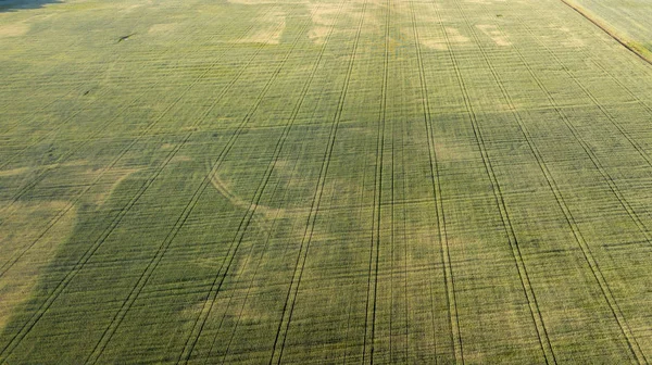 Tarım arazileri yukarıda - under yeşil yemyeşil bir hava resmi