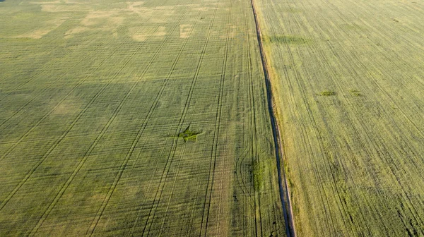Tarım arazileri yukarıda - under yeşil yemyeşil bir hava resmi