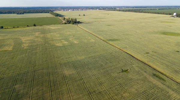 Tarım arazileri yukarıda - under yeşil yemyeşil bir hava resmi