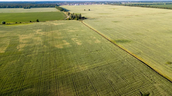 Tarım arazileri yukarıda - under yeşil yemyeşil bir hava resmi