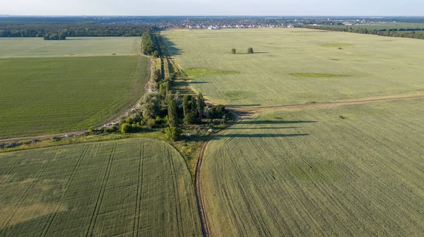 Zagroda Góry Zdjęcie Lotnicze Bujnej Zieleni Złożony — Zdjęcie stockowe