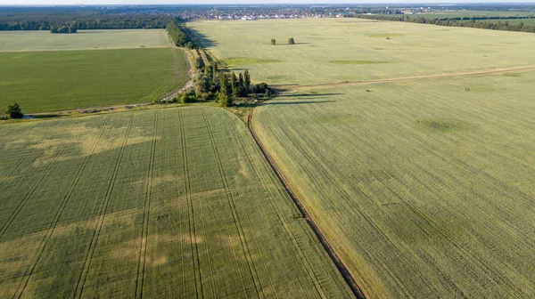 Tarım arazileri yukarıda - under yeşil yemyeşil bir hava resmi