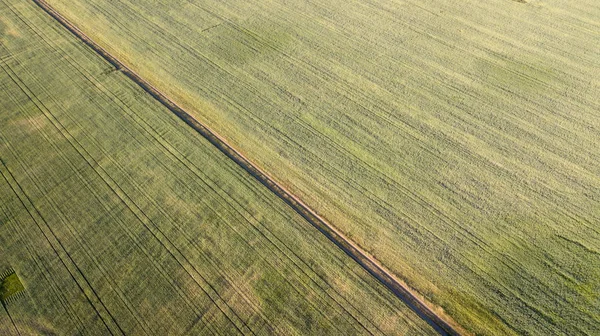 Tarım arazileri yukarıda - under yeşil yemyeşil bir hava resmi