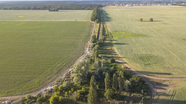 Tarım arazileri yukarıda - under yeşil yemyeşil bir hava resmi
