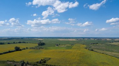 yeşil mısır alanları - tarım alanları üzerinde güzel bir günbatımı havadan görünümü