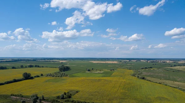yeşil mısır alanları - tarım alanları üzerinde güzel bir günbatımı havadan görünümü
