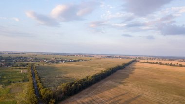 Günbatımında Avustralya kırsalındaki tarımsal arazi ve kanola tarlalarından geçen kırsal yol manzarası