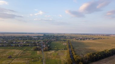 Günbatımında Avustralya kırsalındaki tarımsal arazi ve kanola tarlalarından geçen kırsal yol manzarası