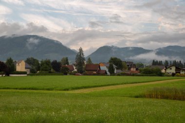 Pastoral alp yatay, taze yeşil çayırlar, çiçek açan çiçekler, tipik çiftlik ve dağların altın akşam günbatımında Nationalpark Berchtesgadener Land, Bavyera, Almanya ışık