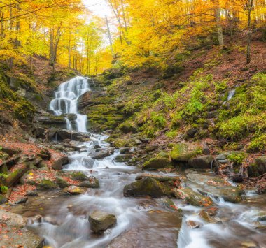 Sonbahar, Büyük Smoky Dağları Milli Parkı, Tennessee görünümünde Little Nehri