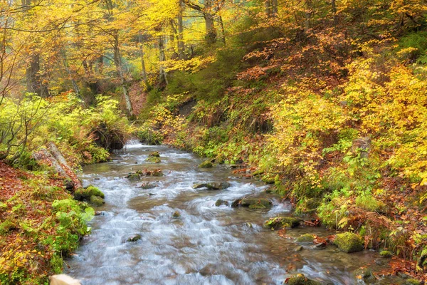 View Little River Autumn Great Smoky Mountains National Park Tennessee — Stock Photo, Image