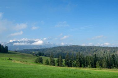 Yeşil dağ manzaralı yaz