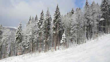 Güzel kış Norveç manzara Hemsedal Kayak Merkezi Buskerud Norveç yakınındaki dağlarda