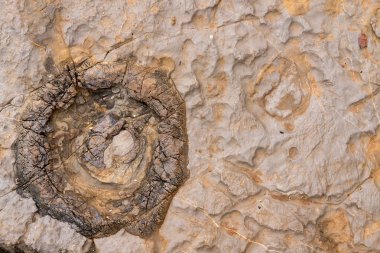 Kahverengi renkli mermerin yüzeyi