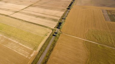 Hasat önce cornfields yüksek-açı çekim