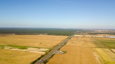 Hasat önce cornfields yüksek-açı çekim