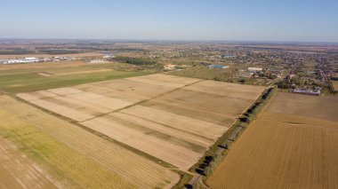 Hasat önce cornfields yüksek-açı çekim