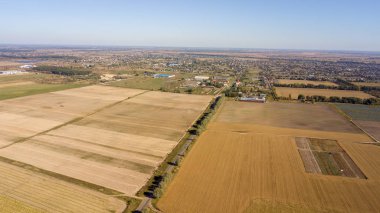 Hasat önce cornfields yüksek-açı çekim