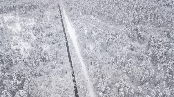 Зимой Сверху Вниз Вид Лес Зимний Пейзаж Лесу Летаю Лыжне — стоковое фото