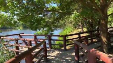 Parkta göl manzarası