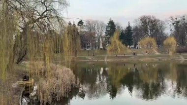 Parktaki nehrin güzel manzarası