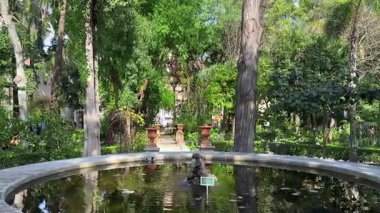 Parkın güzel manzarası