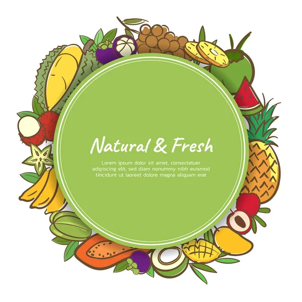 Plantilla Fondo Banner Lindo Frutas Tropicales Con Espacio Copia Para — Vector de stock