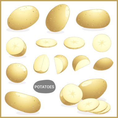 Vektör illüstrasyon formatında çeşitli kesim ve stilleri ile taze patates sebze seti