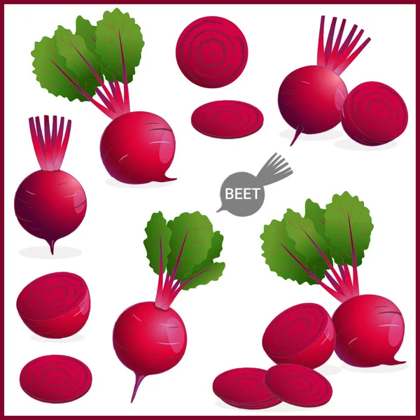 Conjunto de remolacha fresca o remolacha roja vegetal con hojas verdes en varias formas y estilos en formato de ilustración vectorial — Vector de stock